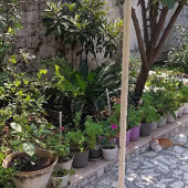 کد ملک : 359