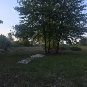 کد ملک : 445