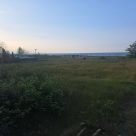 IMG_20260502_120138_908