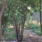 IMG_20260510_180641_284