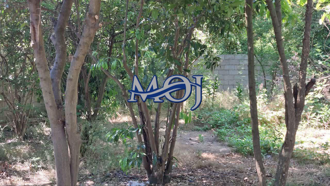 کد ملک : 559