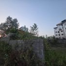 IMG_20260824_203725-1