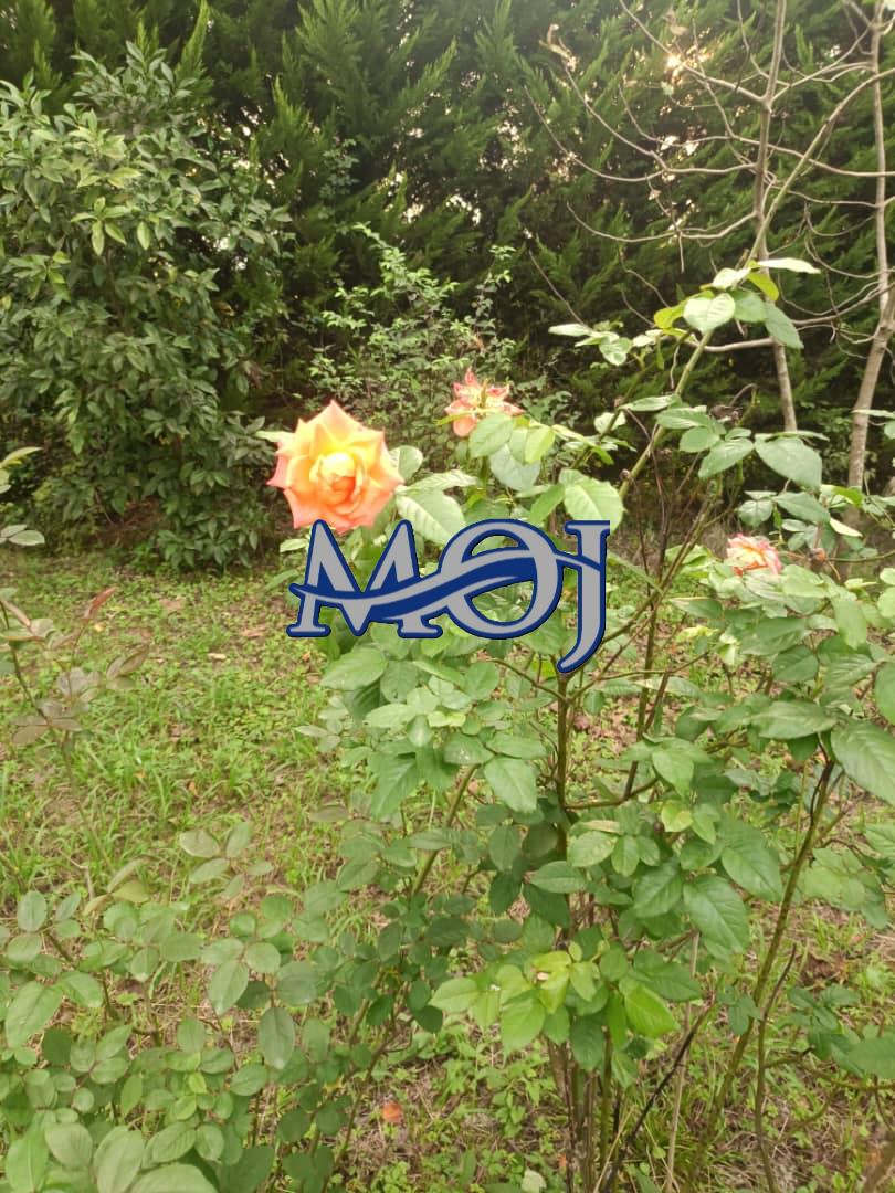 کد ملک : 758
